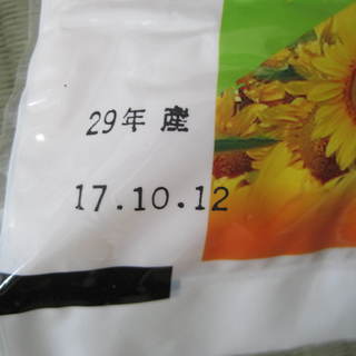 北海道産玄米10㎏　 (5㎏×2袋）