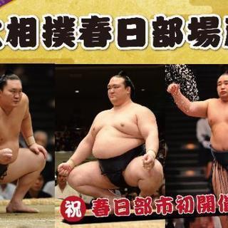 8月25日大相撲春日部巡業タマリＳ席4枚