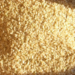 祝開店！大放出セール開催中 29年9月収穫 京都・亀岡産 30Kg キヌヒカリ お米 その他