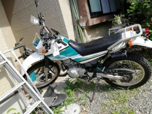 セロー225we 4jg5 交換可