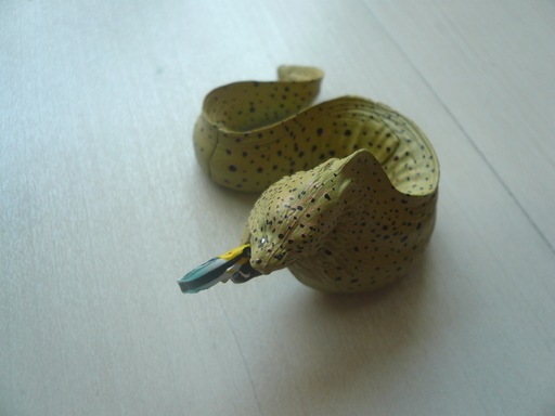 ガチャポン原色海水魚図鑑シークレット2種 (レクサス) 横浜の