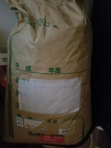 訳ありコシヒカリ40kg