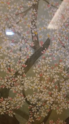 【値引き】さくら日本画  岡崎忠雄