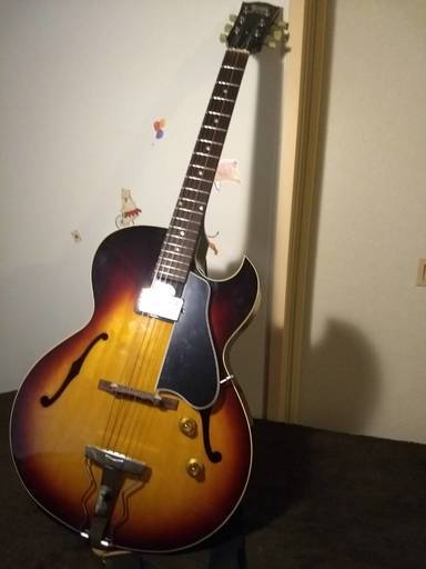 弦楽器、ギター Archtop Tribute AT101