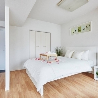 イッセー尾形TheBestofBestCollection 4BOXコンプリート