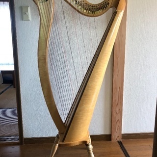 青山ノンペダルハープ 34弦