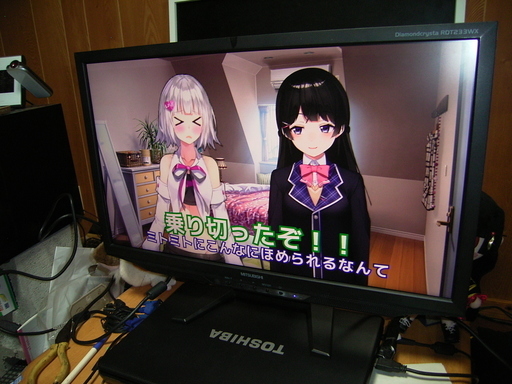 【急】三菱ワイド液晶ディスプレイ RDT233WX(BK)