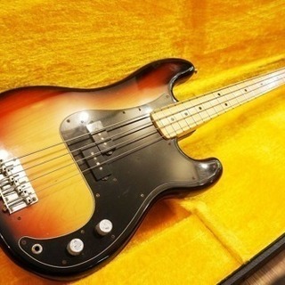 Fernandes FPB60 Power Bass