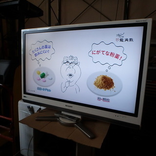 ★2008年製★SHARP シャープ アクオス 42V型 LC-42DS5 液晶テレビ