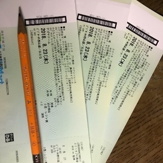 8月23日(木)阪神タイガース対中日ナゴヤドーム 通路席ビジター...