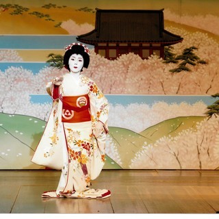 京都で、日本舞踊を学びませんか？