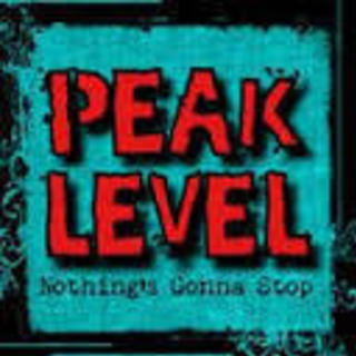 PEAK LEVEL ピークレベル（関西のブルースロックバンド）...