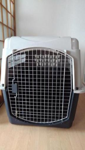 大型犬用のゲージ