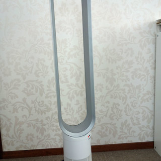 ダイソン タワーファン AM02