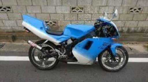 tzr50（不動）