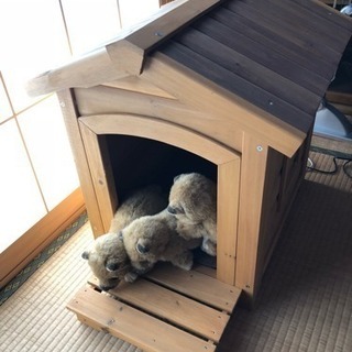 木製犬小屋あげます