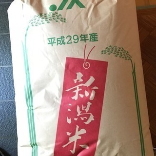 米、玄米、コシヒカリ30kg