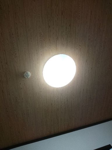 シーリングライト