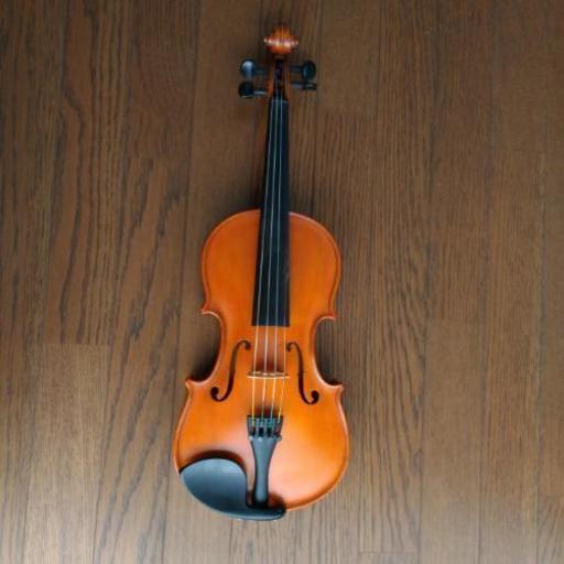 分数バイオリン　中古　3/4サイズ　GLIGA GEMS