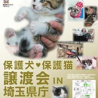 保護犬♡保護猫 譲渡会in埼玉県庁  犬のしつけ相談 飼育相談