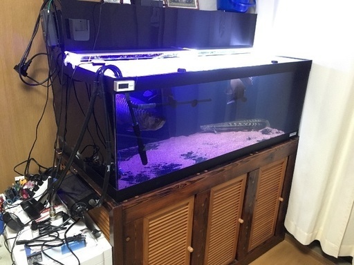 120×60×45水槽  豪華 18点セット 高性能濾過システム