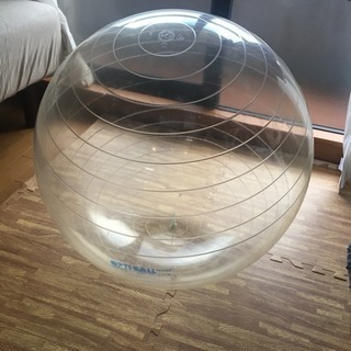 ギムニク バランスボール 75cm 透明
