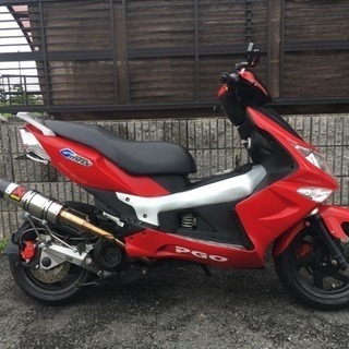 最強スクーターPGO G-MAX125極上美車‼️