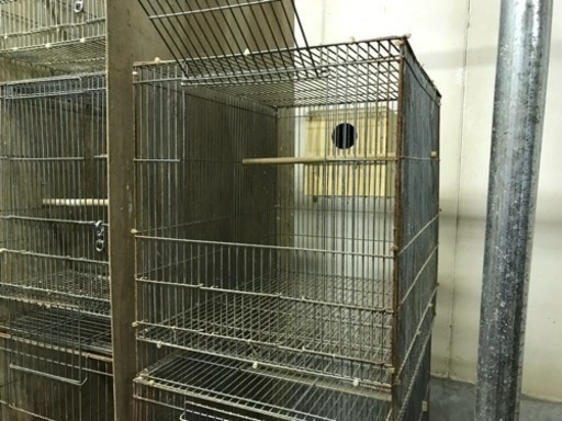 【ペット】中古 鳥かごまとめて売ります 中サイズ　10個セット