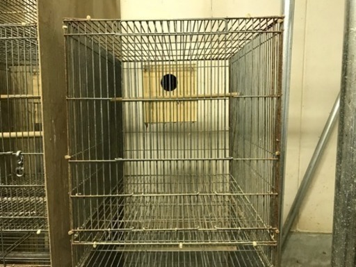 ペット】中古 鳥かごまとめて売ります 中サイズ 10個セット