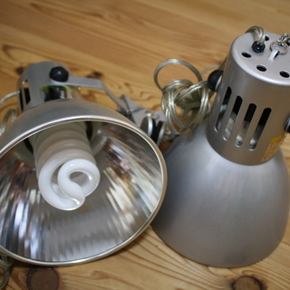 ネイチャーアクアリウム詰め合わせ（60cm水槽）