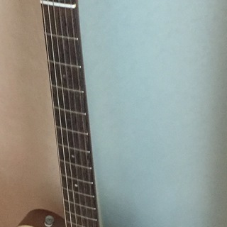 History エレガット HEG120 フジゲン フジゲンのHistory HEG-120