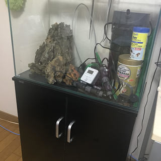 60cm水槽　ポンプ(エーハイム)水槽台(黒)・ライト･気孔石