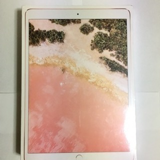 iPad Pro 10.5”  ★ ★新品★ ★ 値段下がった