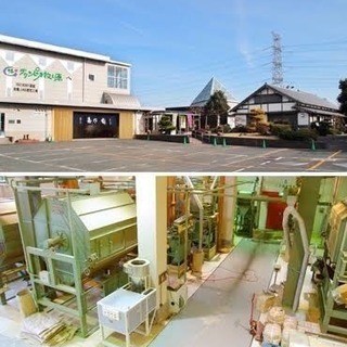 名古屋駅発 静岡日帰りツアー ペア