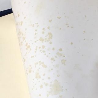 m*h様 宮原柳僊　復原高雄曼荼羅　他 古書】 佛画 宮原柳僊 復原高雄曼荼羅 画集 ヴィンテージ
