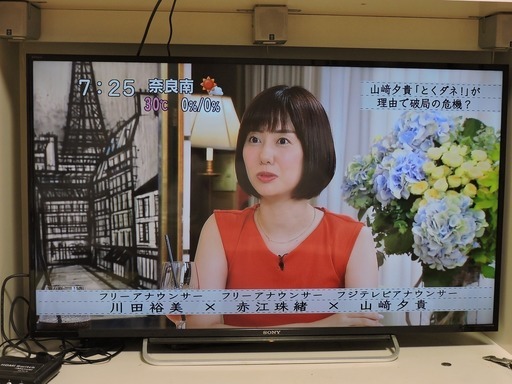 SONY BTAVIA 48型 液晶テレビ KDL-48W600B