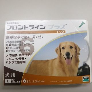 大型犬　ノミ対策　フロントライン プラス ドッグ L 6本 