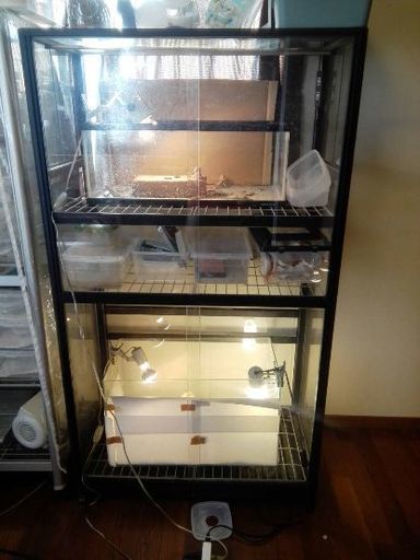 ガラス温室 爬虫類などに