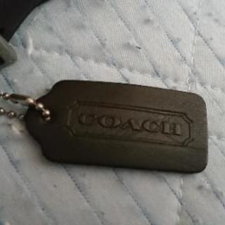 娘はタレント ｖリーガー 伝説の 10 19 第2戦先発投手は今 株式会社高柳 の代表 まいどなニュース