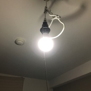 LEDランプ コンセント 吊り下げ 照明 2個