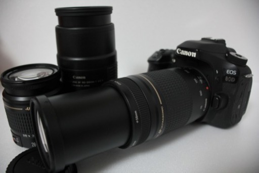 ★極上美品★キャノン Canon デジタル一眼レフ Canon EOS 80D