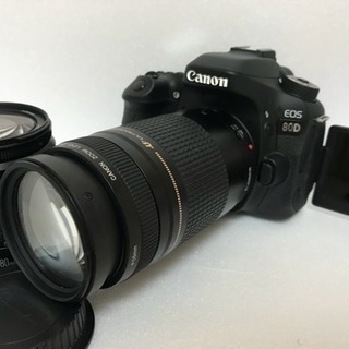 キャノン Canon EOS 80D タブルレンズセット 三脚【...