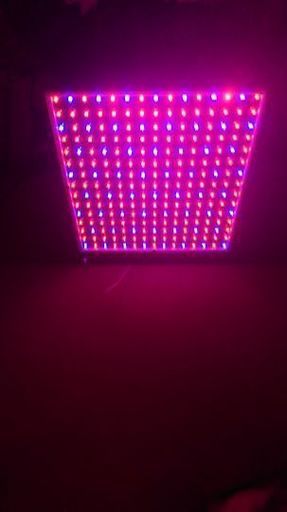 今週まで お洒落なledライトパネル 爬虫類 温室ガラスケに らいと 飯塚のその他の中古あげます 譲ります ジモティーで不用品の処分