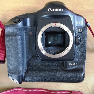 Canon EOS-1D MarkⅡNボディ+プロスト