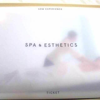 【定価24300円  発送無料 ソウエクスペリエンス エステ スパ チケット PLUS