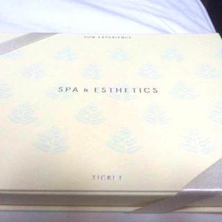 【定価24300円  発送無料 ソウエクスペリエンス エステ スパ チケット PLUS