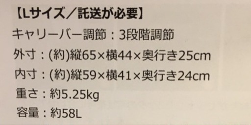 未使用品✨ キャリーバッグ (Lサイズ) グリーン