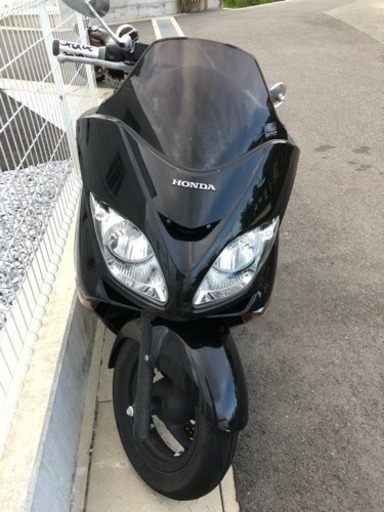 フォルツァ 低走行車両 5000km