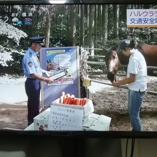 オリオン電機 48V型　テレビ台付