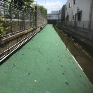 植木一本からお庭の手入れ剪定 遠方可 見積り無料 ご予算に応じた価格で出来る限りさせていただきます 京都府 大阪府 滋賀県 奈良県 愛知 ヒロオ 宇治のその他の無料広告 無料掲載の掲示板 ジモティー